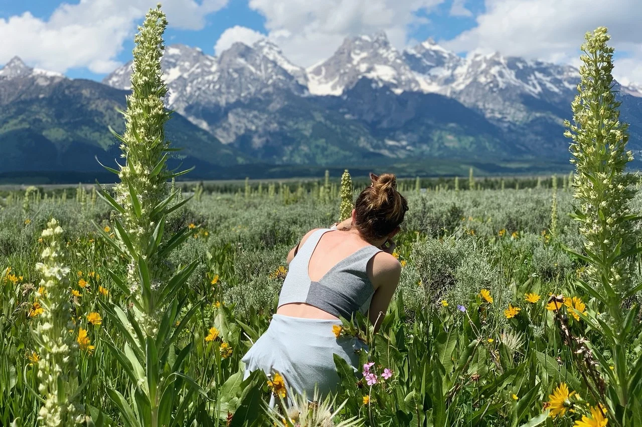 Sometimes I take photos. Grand Tetons 2019