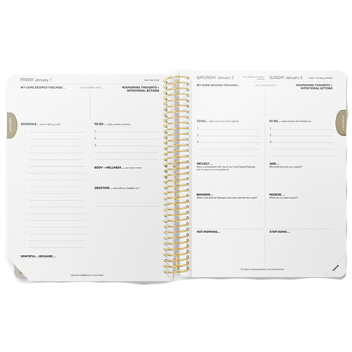 DESIRE MAP PLANNER Daily; $58
