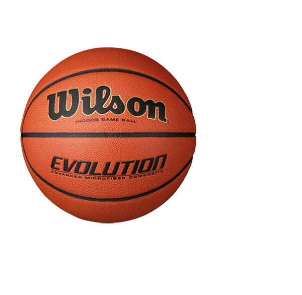 WILSON Basketball; $69.99