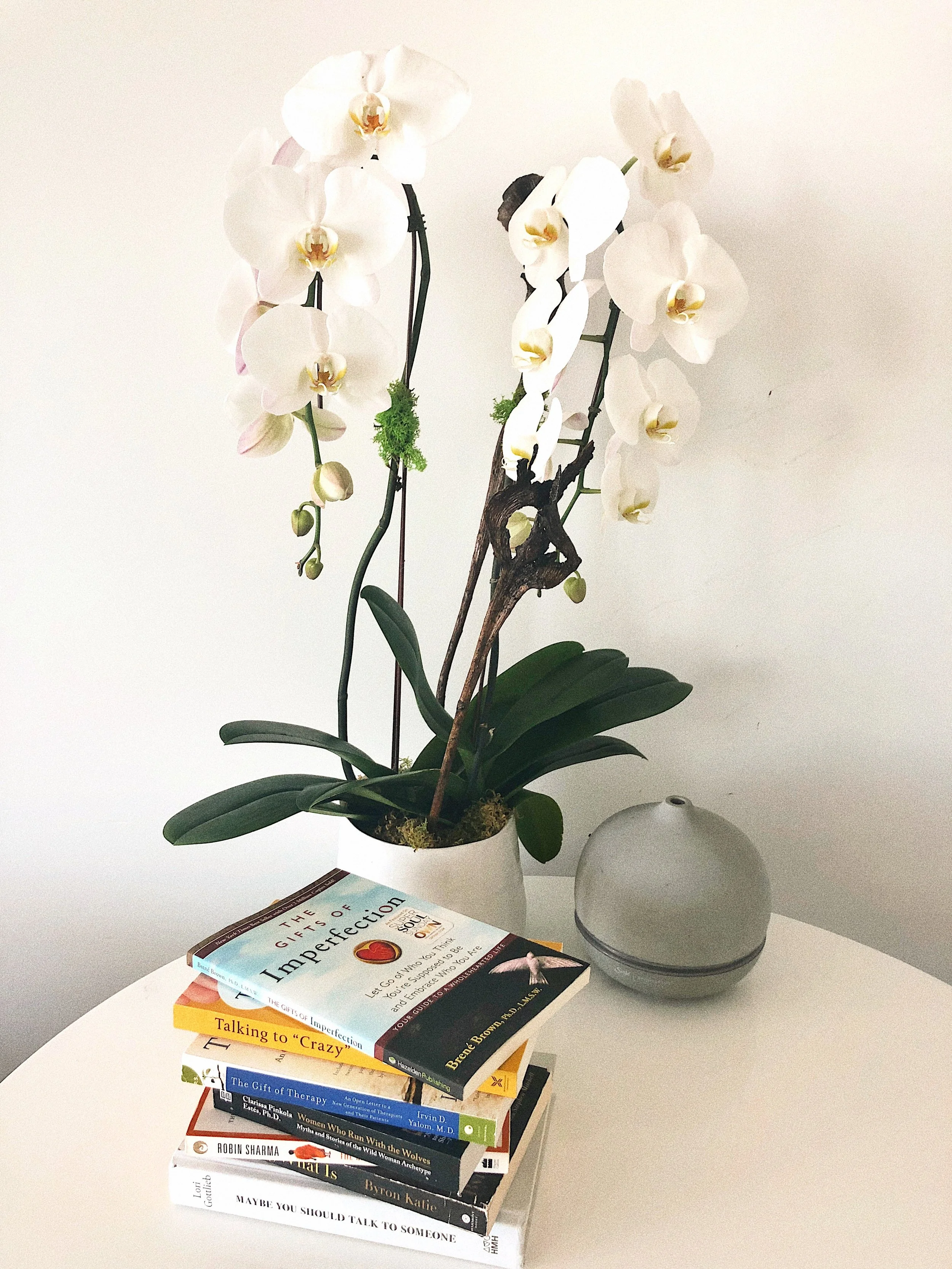  3 reads that will shift your mindset