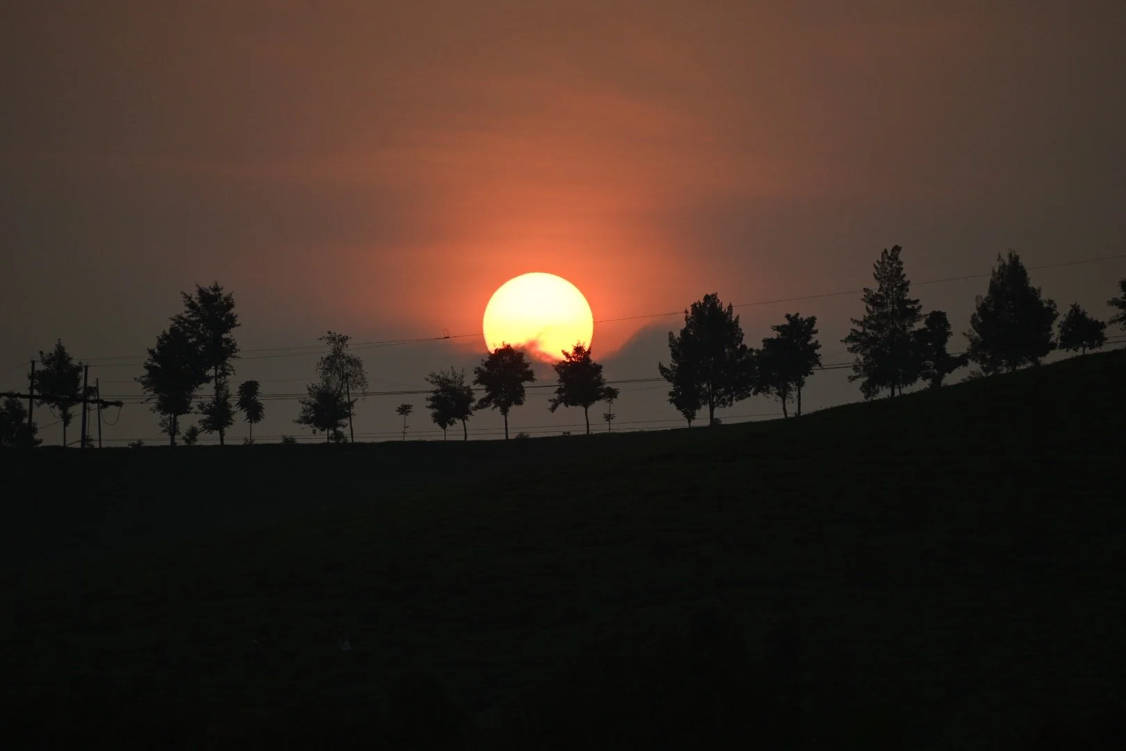 TLL_4901.JPG
