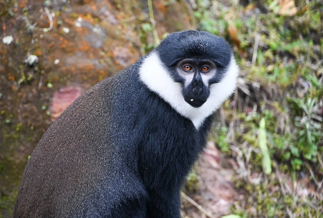 TLL_4755.JPG