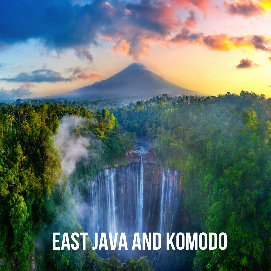 East Java and Komodo, October 11-18, 2026. Trip Leader: Hannah