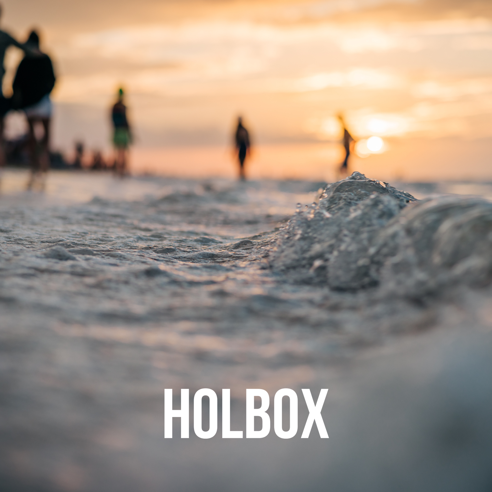 Holbox, Mexico: December 2-7, 2026. Trip Leader: Wendy