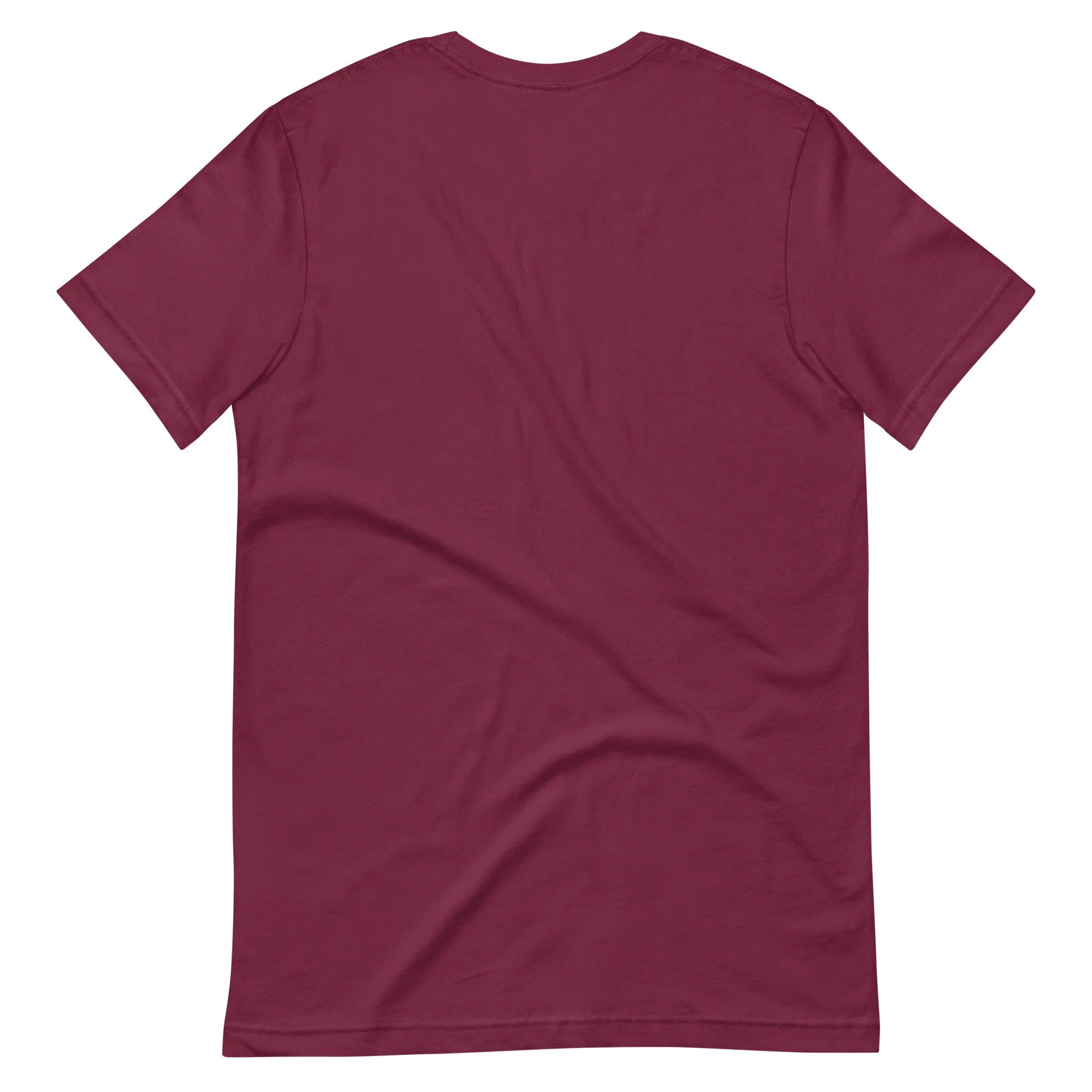 unisex-staple-t-shirt-maroon-back-6929d36a51a13.jpg