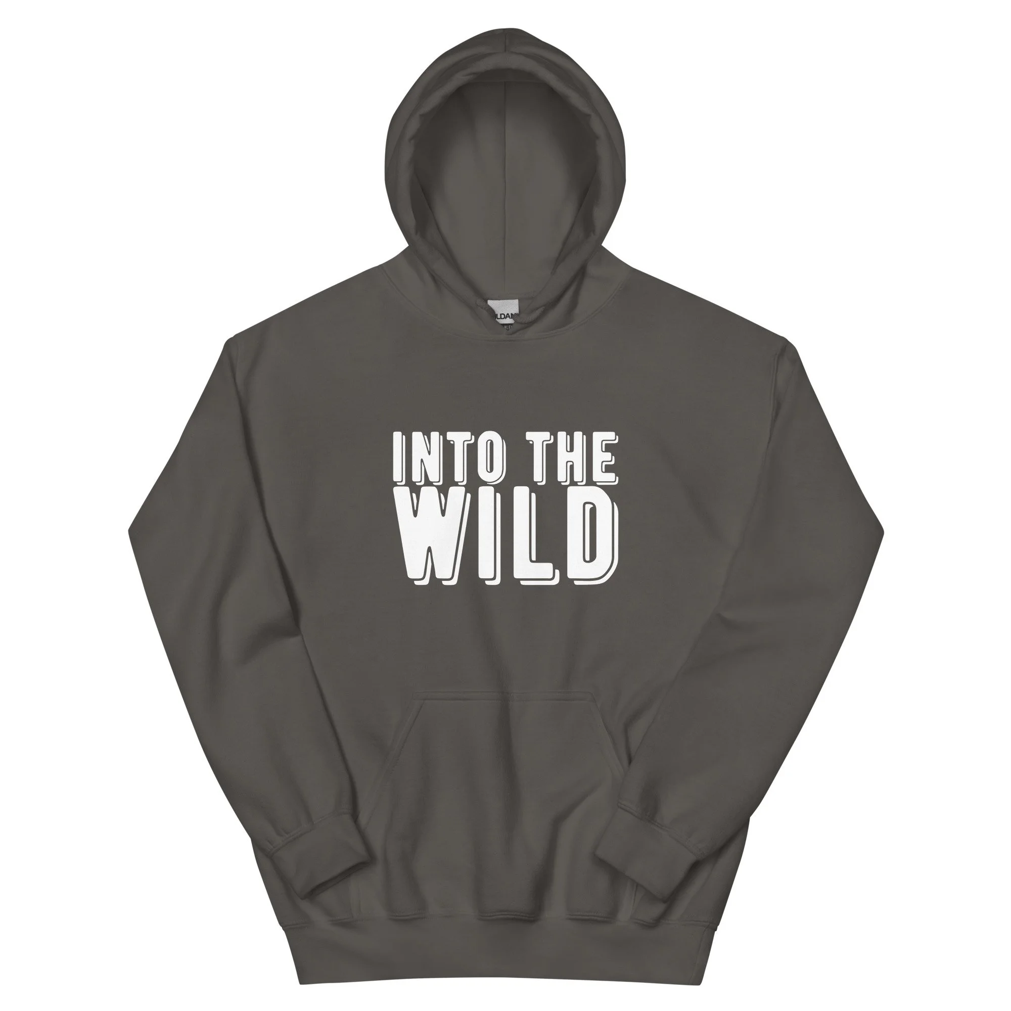 unisex-heavy-blend-hoodie-charcoal-front-692af1b651060.jpg