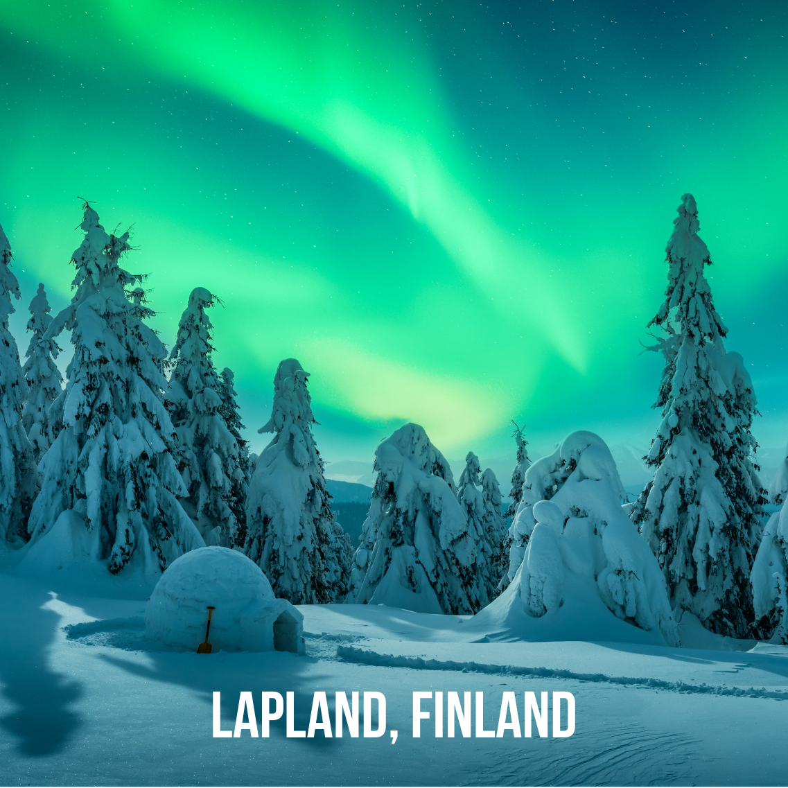 Lapland, December 7-13, 2026. Trip Leader: Taryn