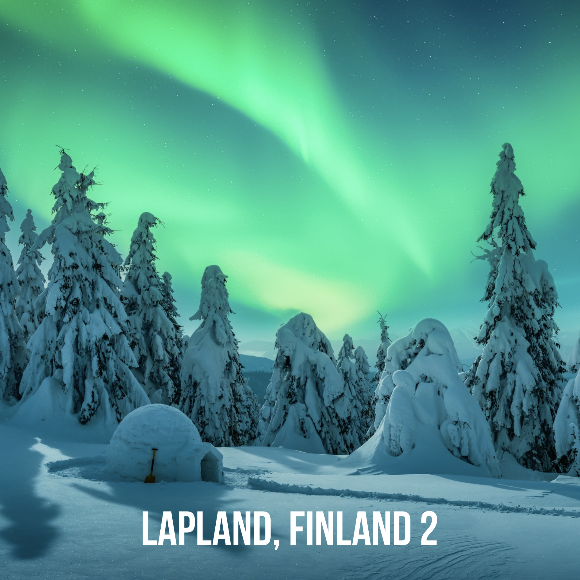 Lapland, Finland: January 20-26, 2026. Trip Leader: Reyna