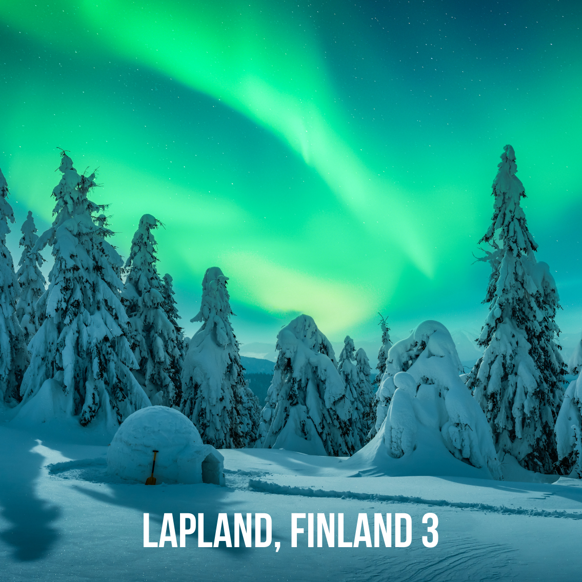Lapland, Finland: January 13-19, 2026. Trip Leader: Donica