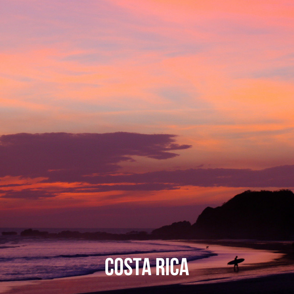 Costa Rica, January 13-19, 2027. Trip Leader: Taryn