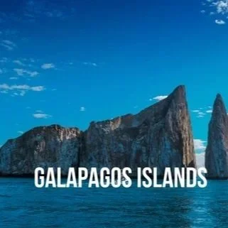 Galapagos Islands, March 11-17, 2027. Trip Leader: Taryn