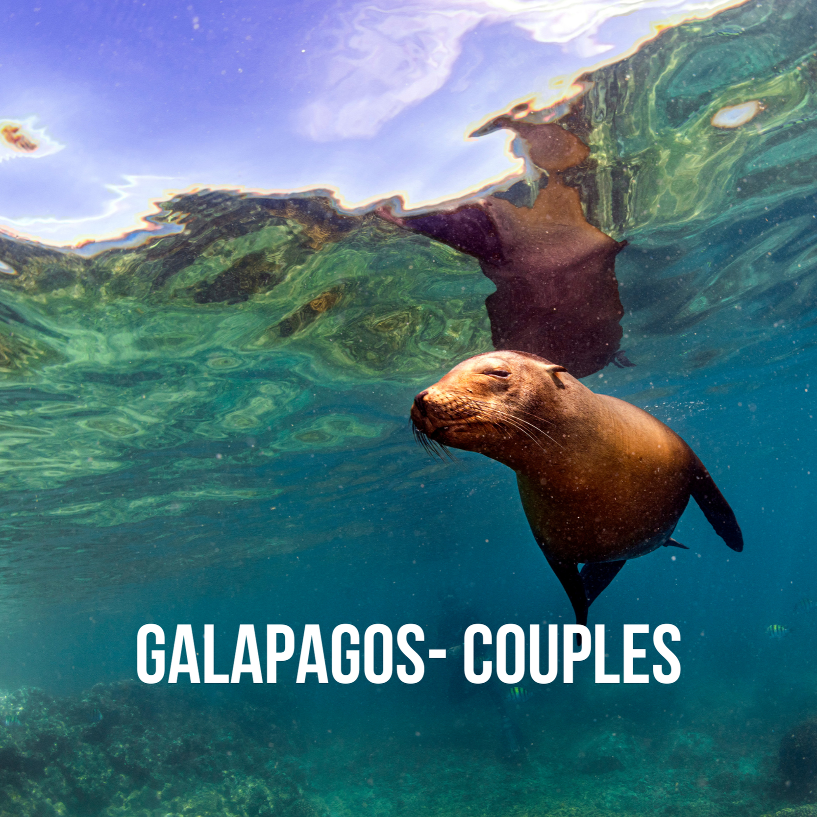 Couples Galapagos: March 19-26, 2027. Trip Leaders: Thor and Wendy