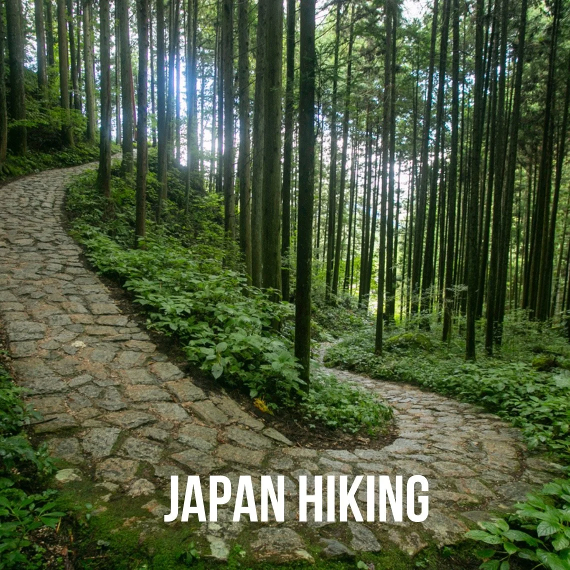 Japan Hiking: April 11-18, 2027. Trip Leader: Taryn