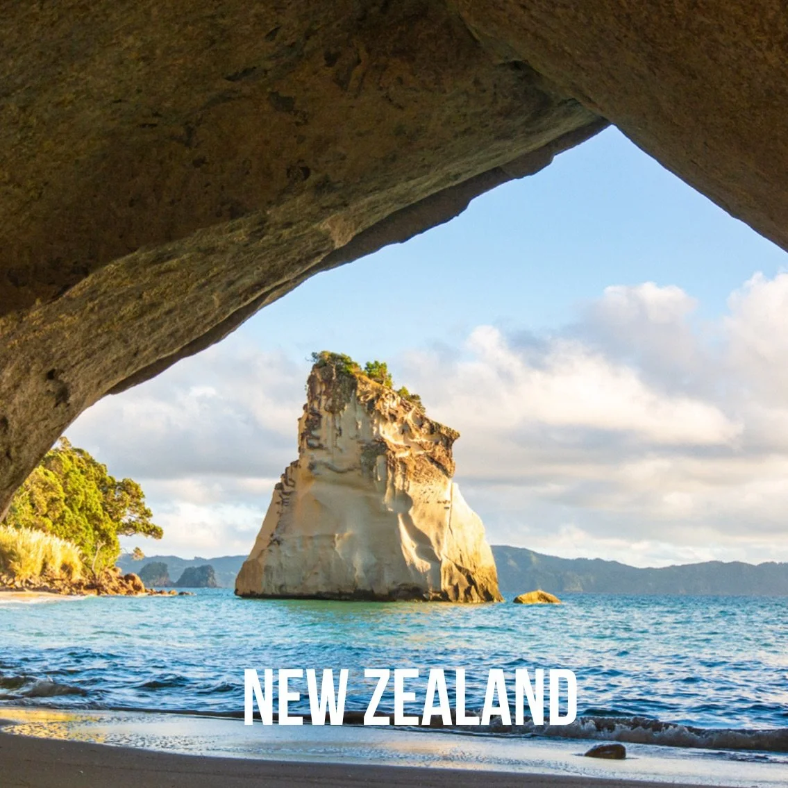 New Zealand: February 4-14, 2027. Trip Leader: Amelia