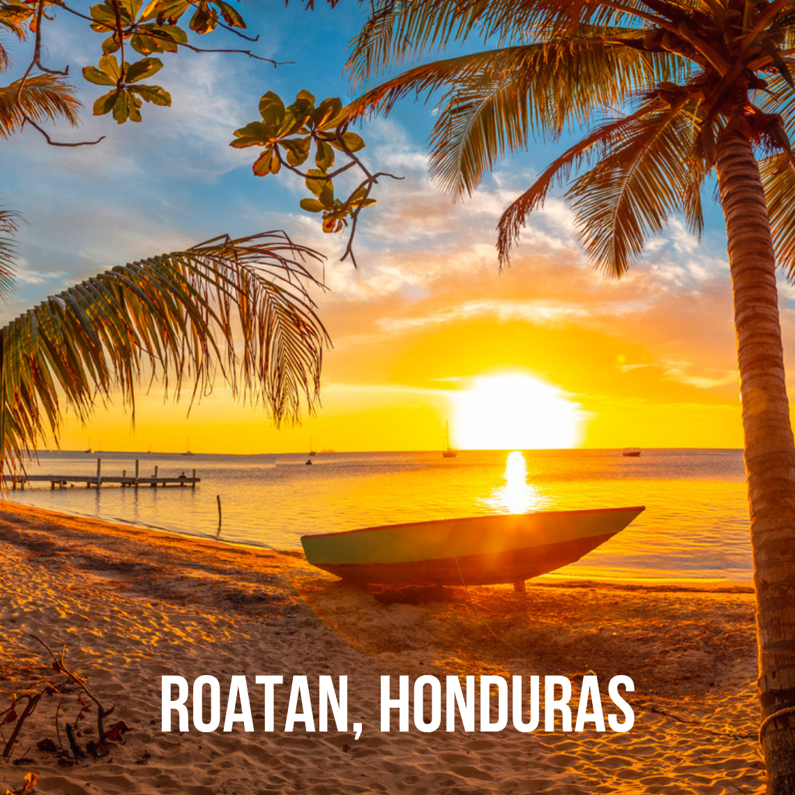 Roatán, Honduras: January 3-9, 2027. Leader: Hannah