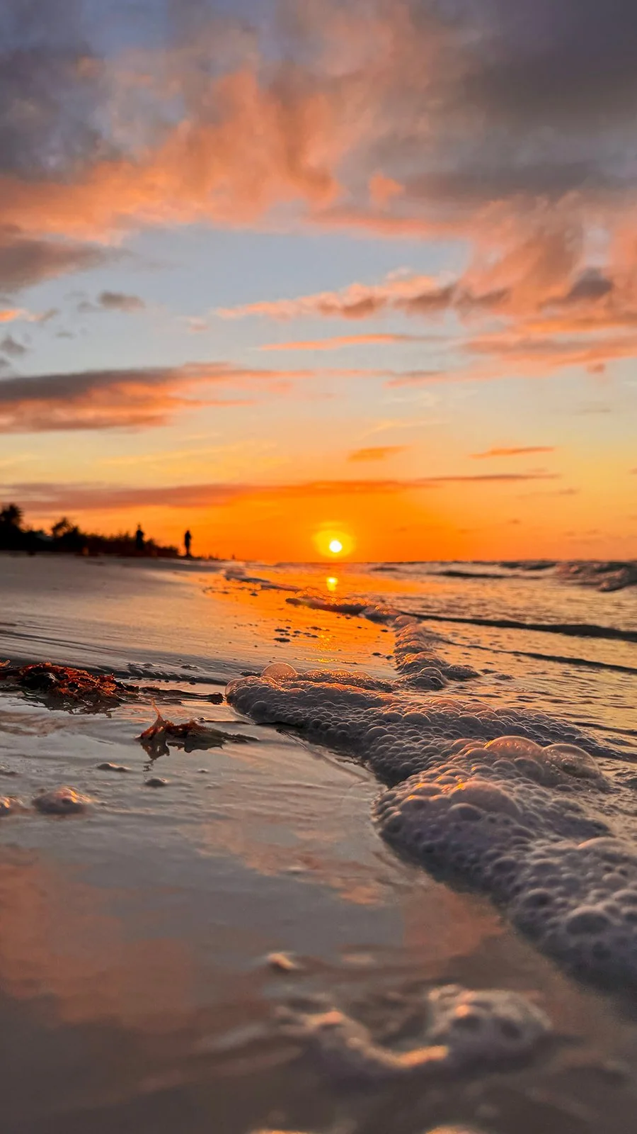 FullSizeRender_VSCO 4 copy.jpg