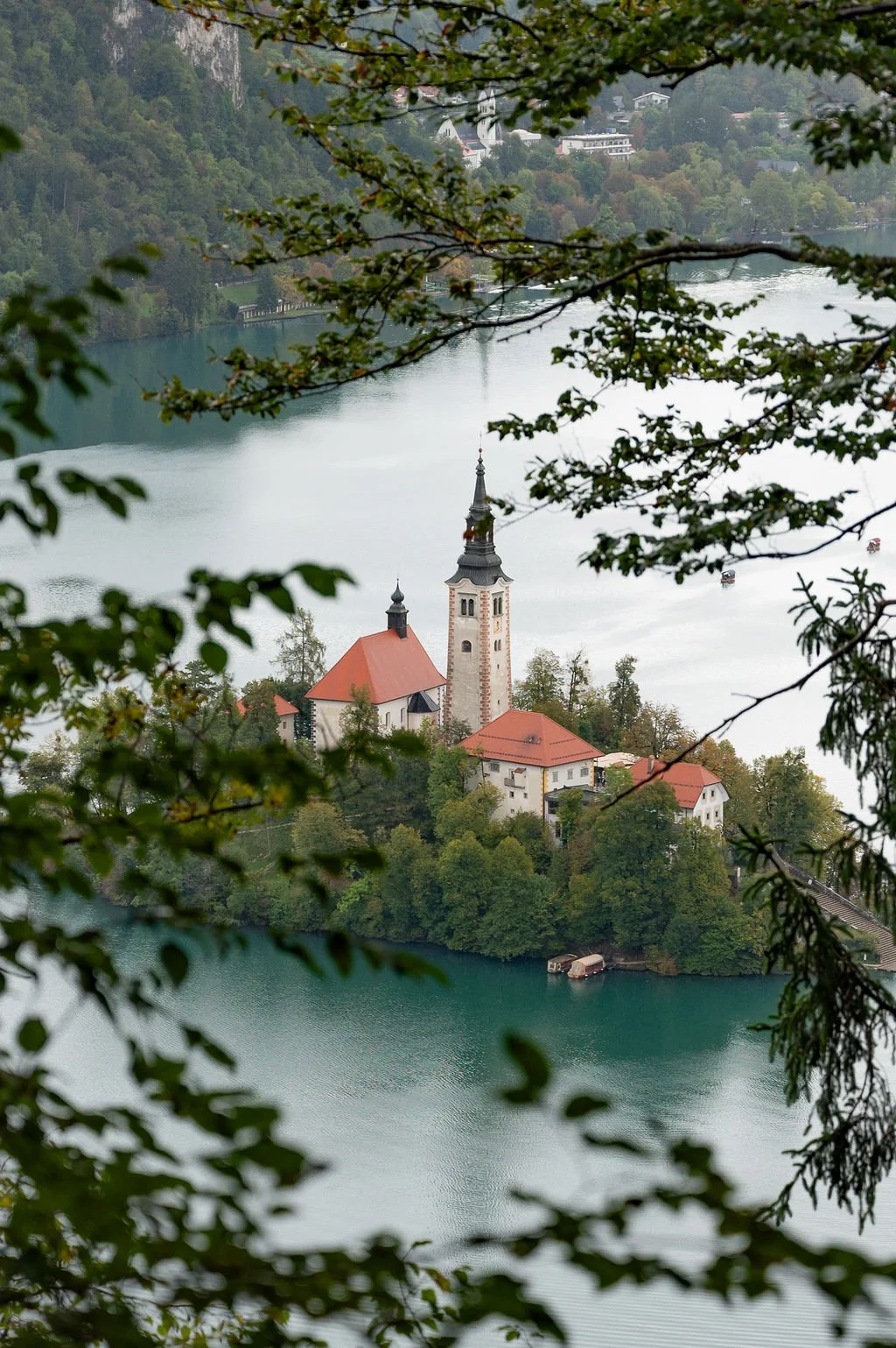 Slovenia Road Trip Half Pay