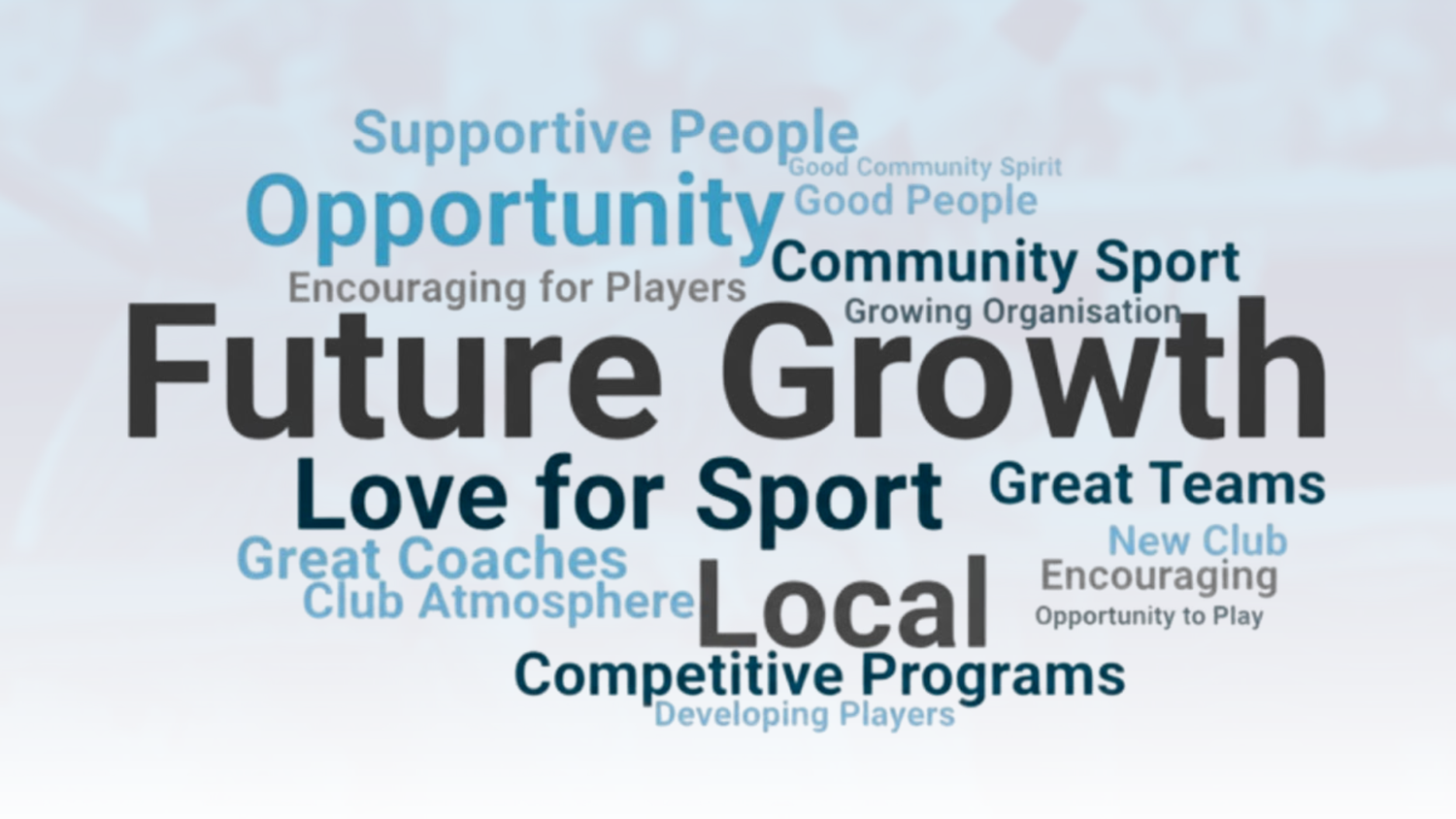 Community Sports Insights Survey example