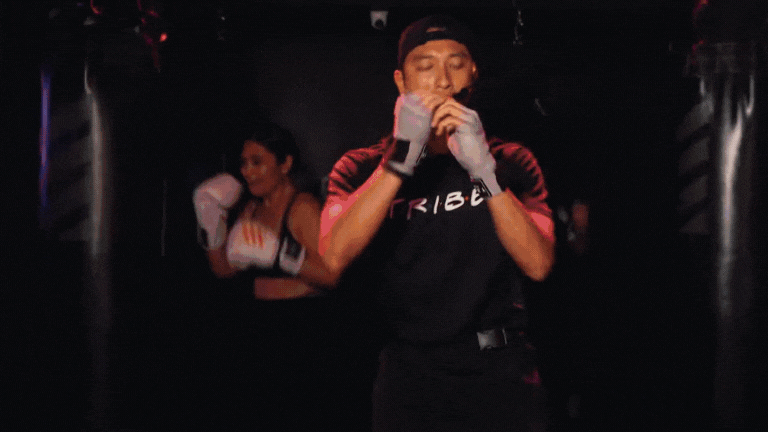 TRIBE Box to your Beat.gif