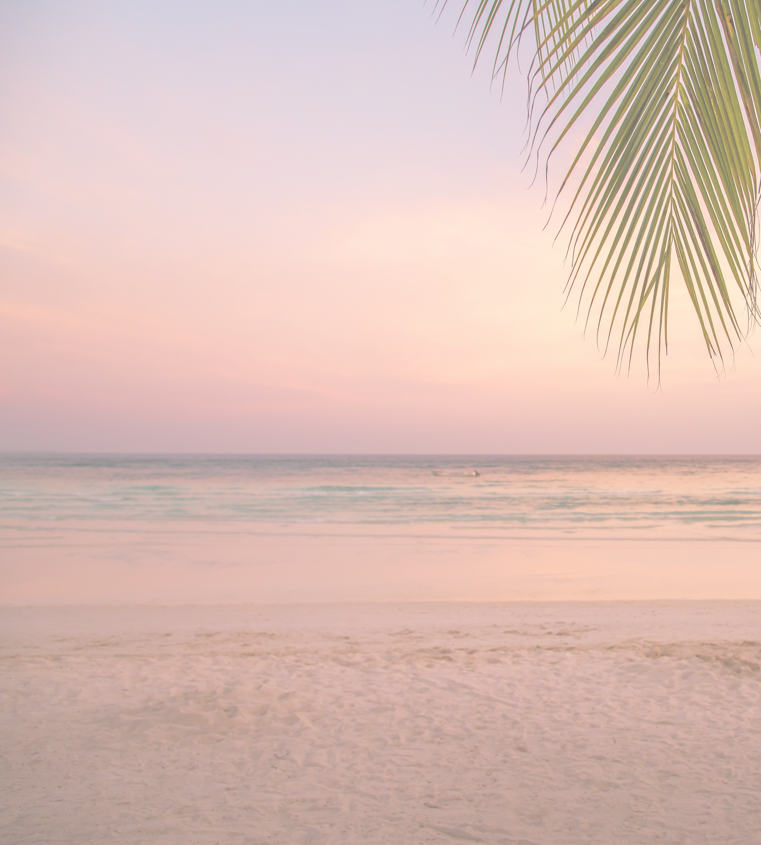 TRIBE Retreat Landing Page + Banners (3600 x 4000 px).png