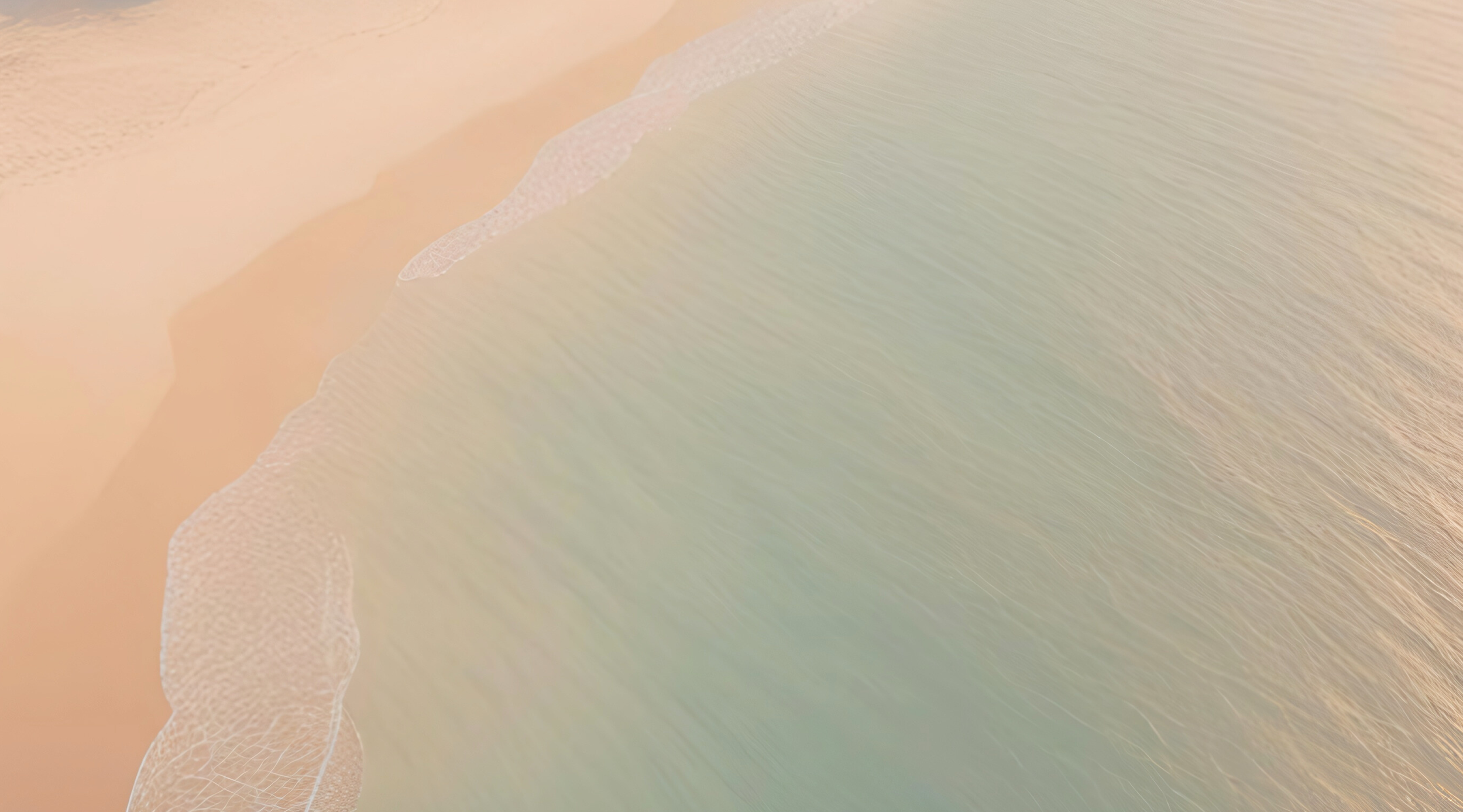8.png