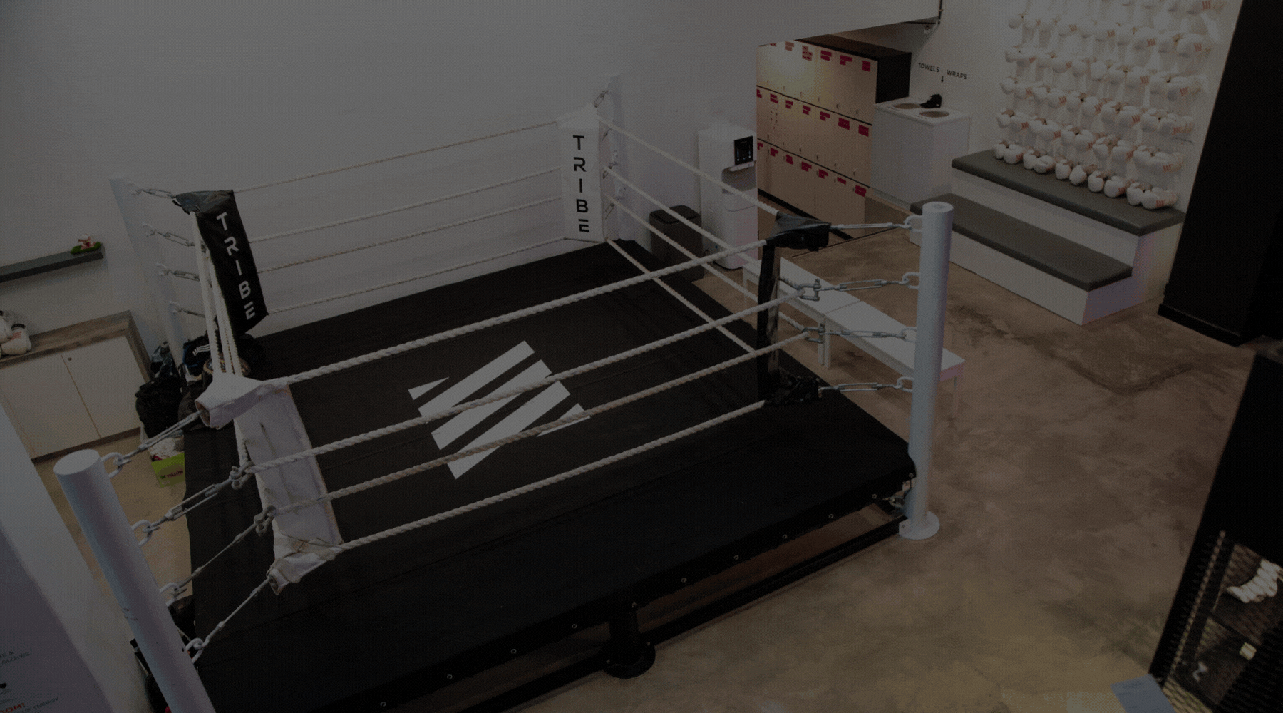 TRIBE WEBPAGE BANNER (3600 × 2000px).gif