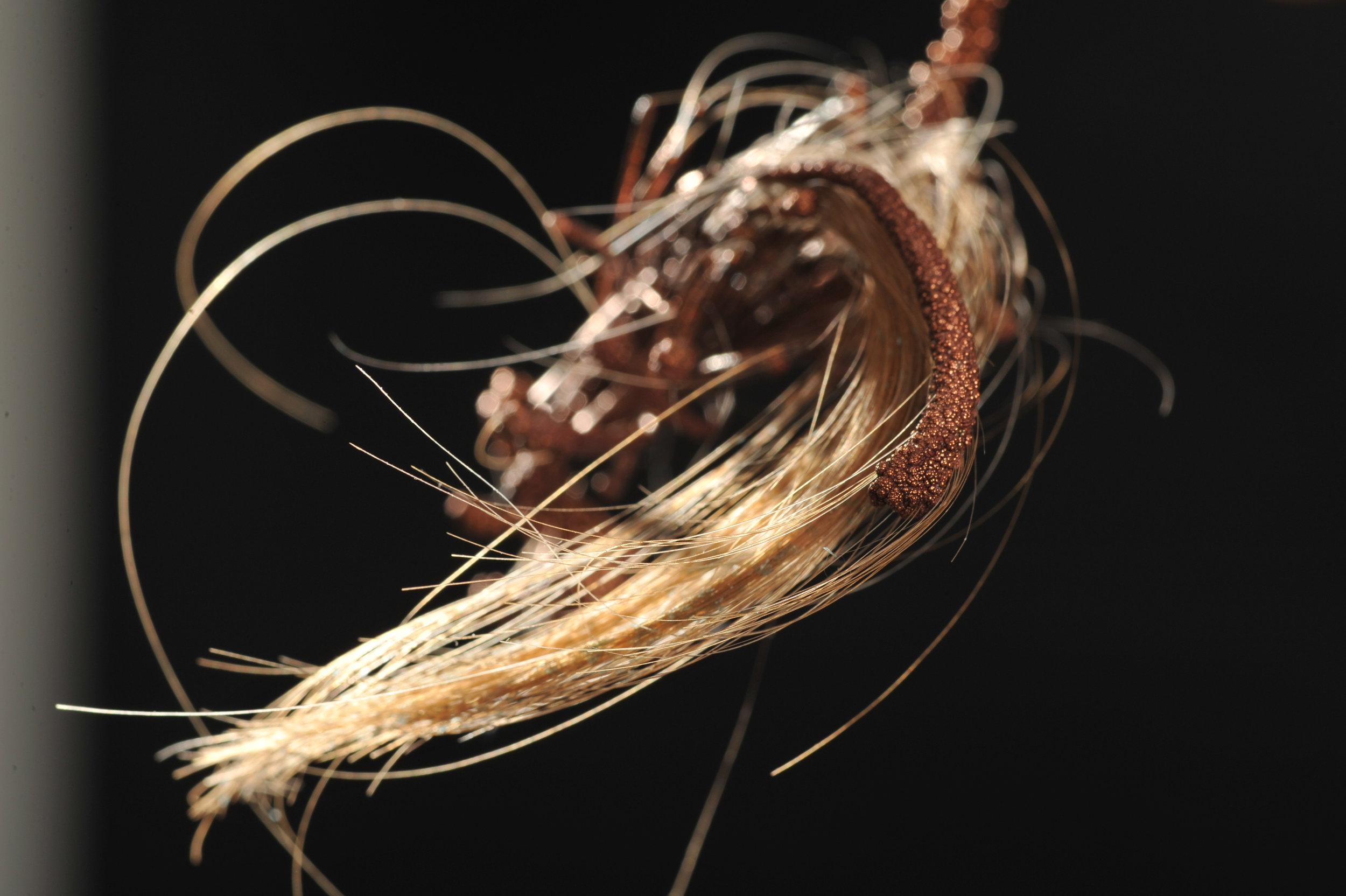 3. Transmuted State of Being 1-1 (detail), 2016. Dimensions 10 cm x 4 cm_ copper electrodeposition, artist’s hair. Image Nu Image.JPG