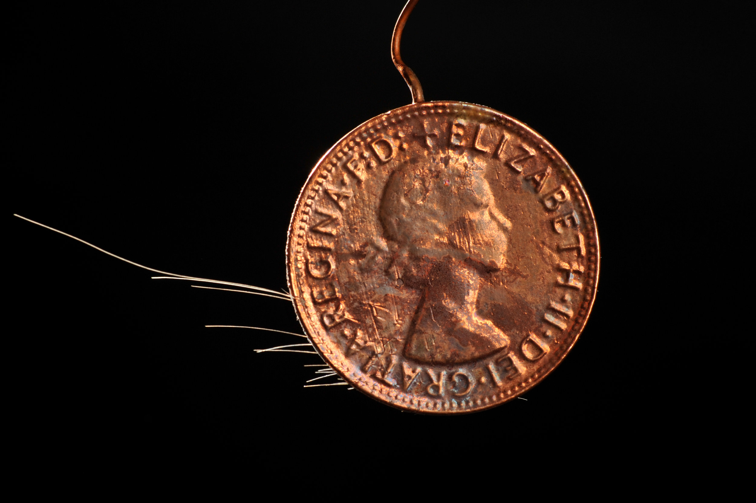 10. Copper Penny, 2016. Dimensions 5 cm x 7 cm_ copper penny, artist’s hair. Image Nu Image.JPG