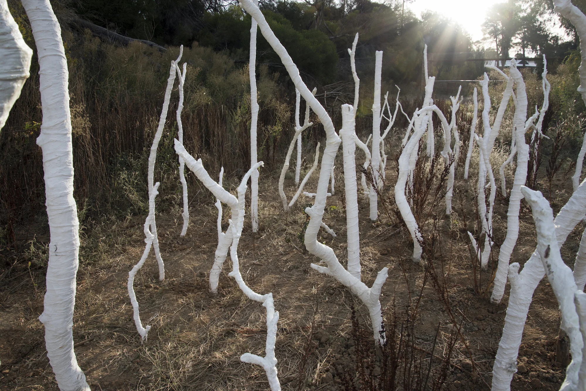 Disturbing a silent voice: April 2016 (3)