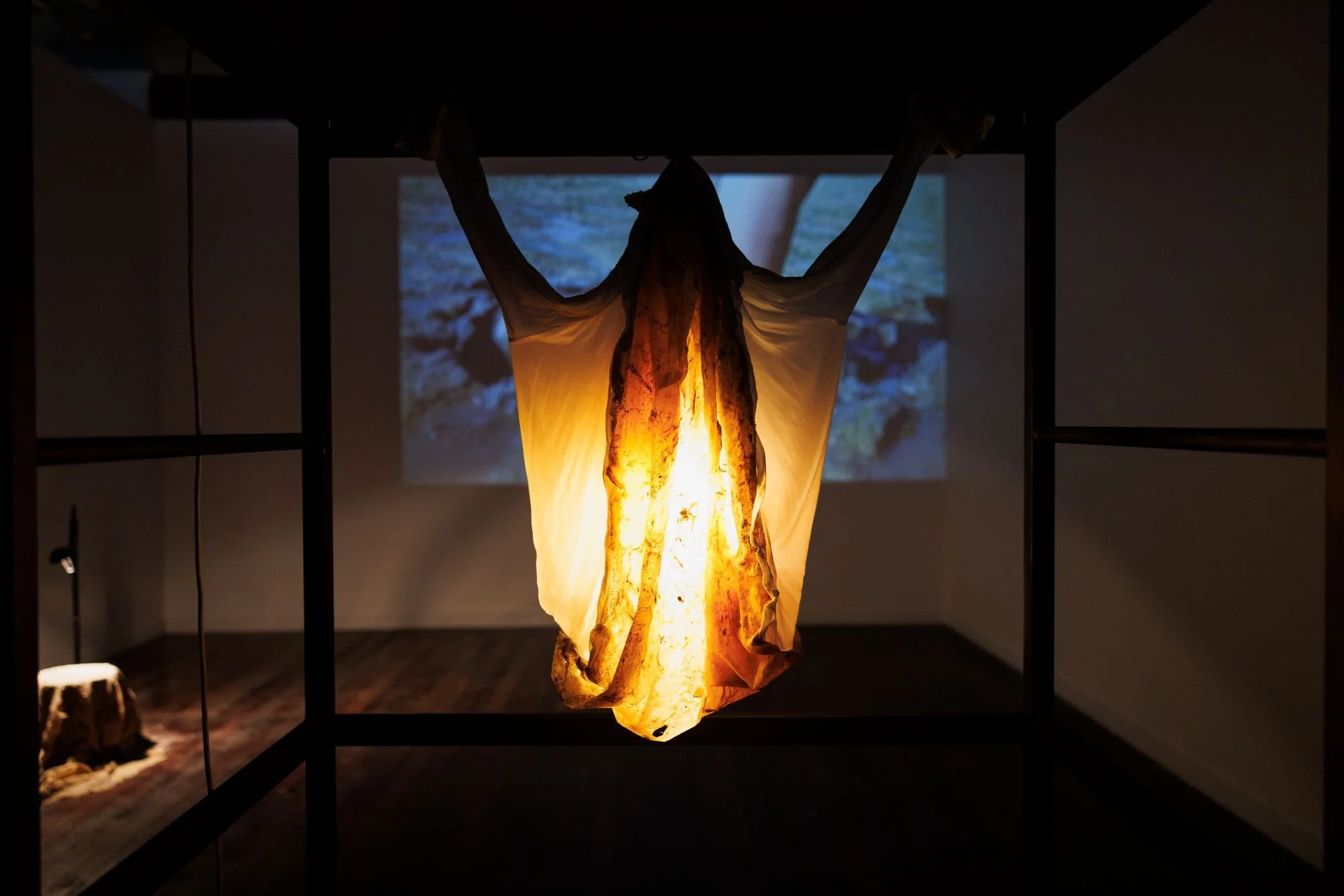 carrier web image .jpg