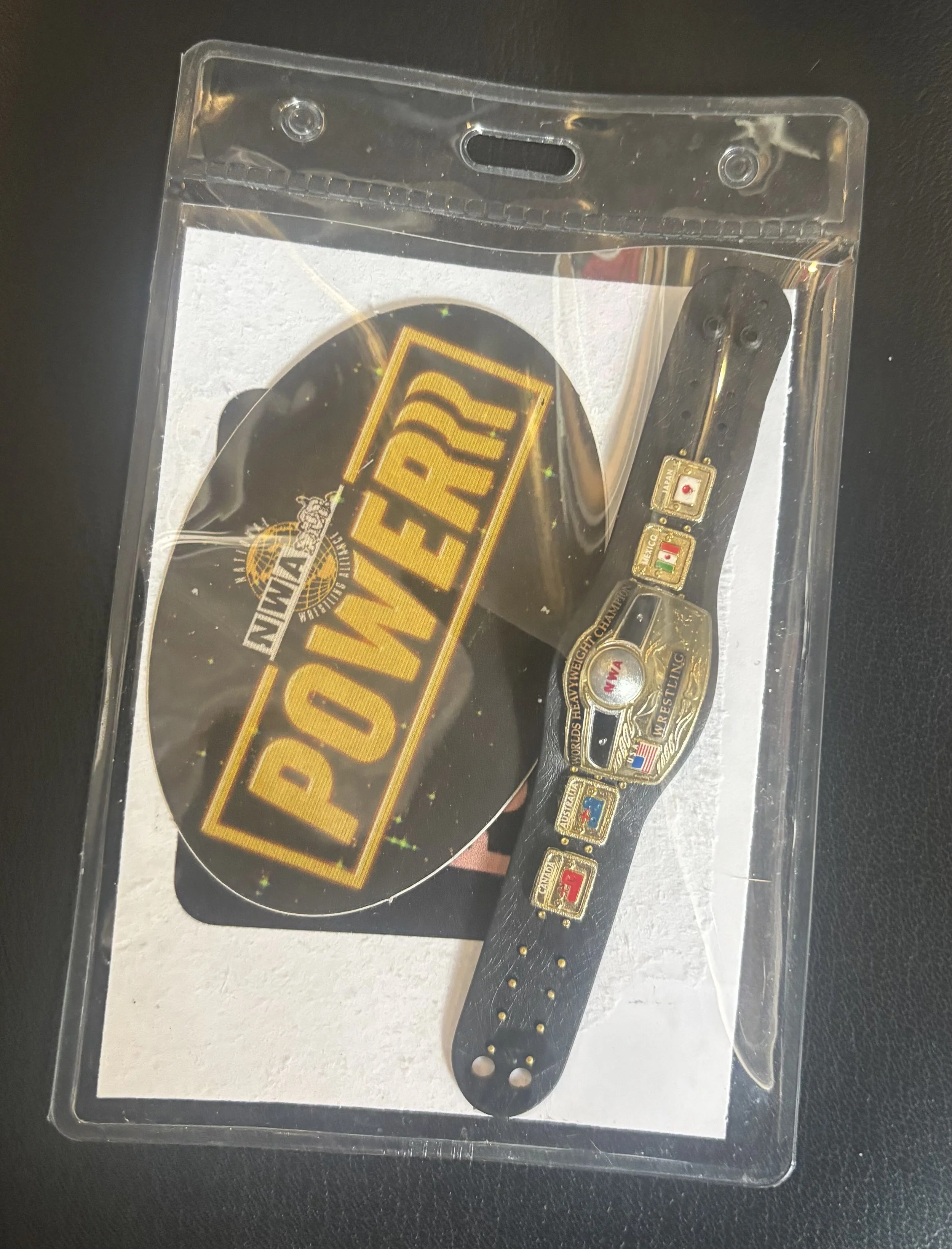 National Wrestling Alliance Powerrr Worlds Heavyweight Championship  - as seen on NWA Powerrr Toy Belt