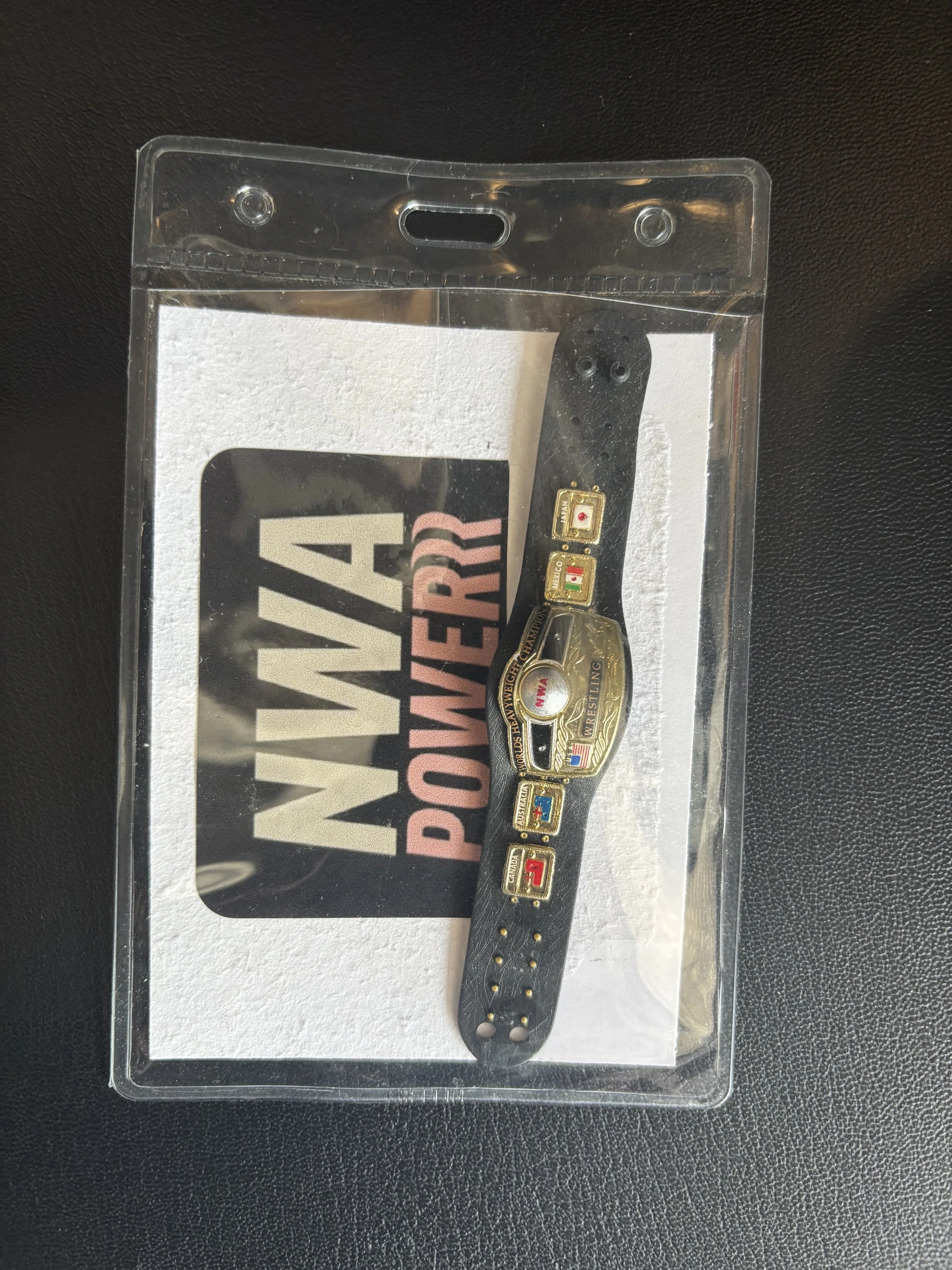 National Wrestling Alliance Worlds Heavyweight Championship - as seen on NWA Powerrr Toy Belt