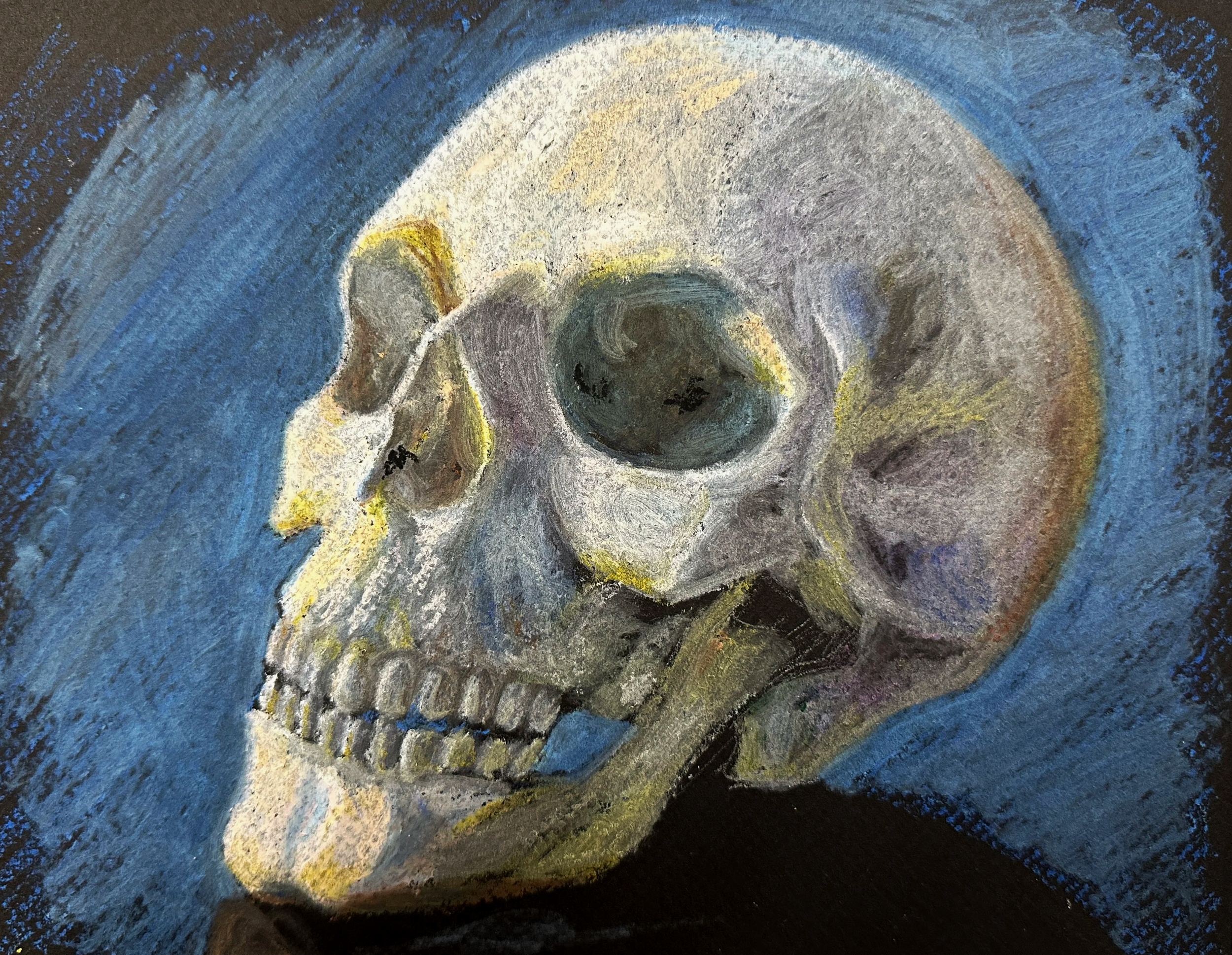 IMG_7937.png