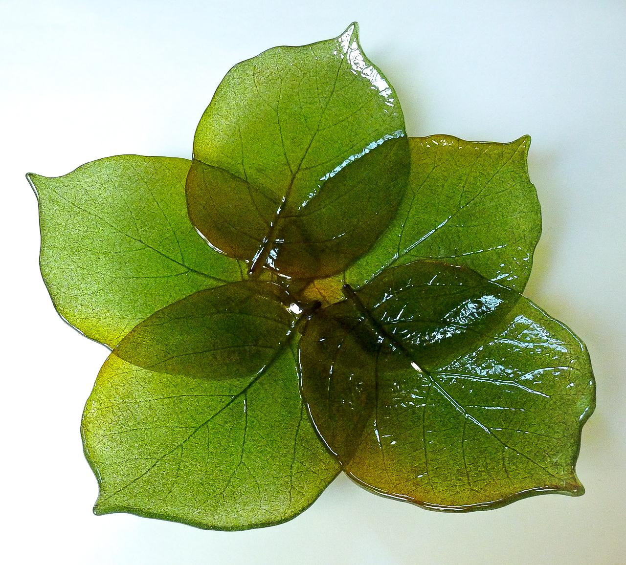 Kiwi Leaves-1.jpg