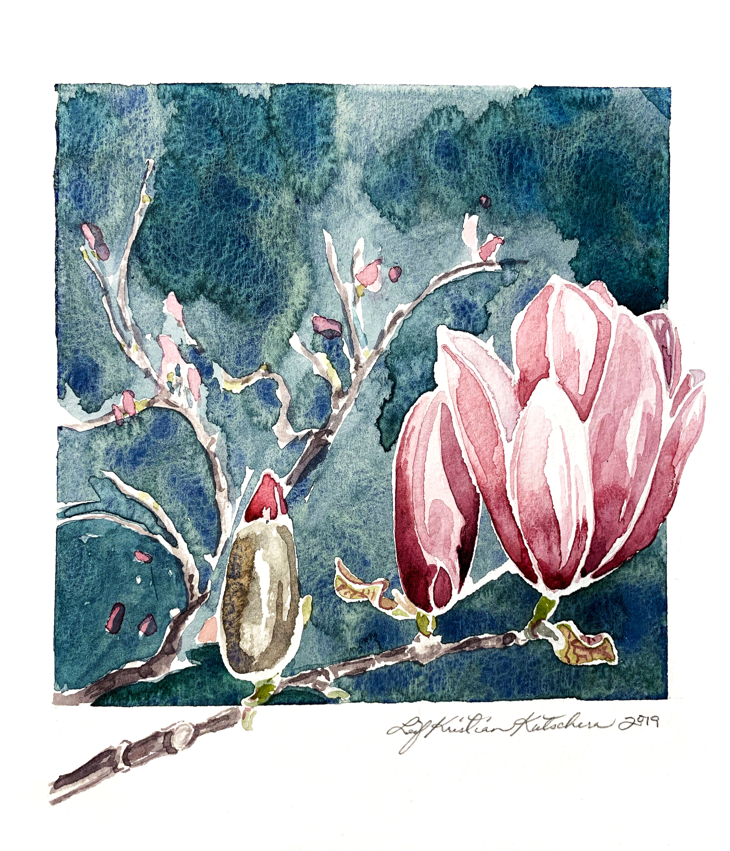 magnolia fixed warp-2.jpg