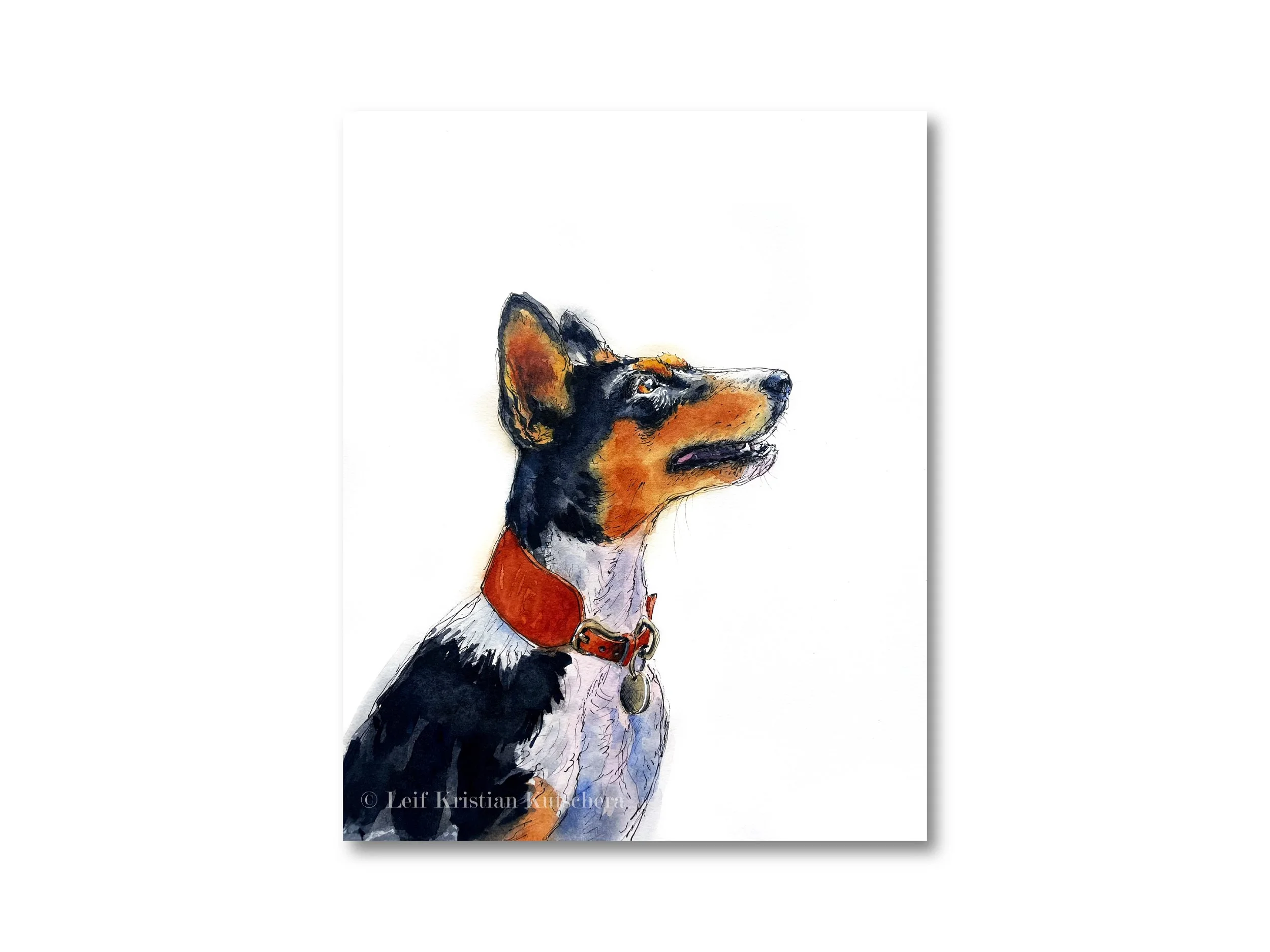 Leif Kristian Kutschera_Dog Portrait of Juniper.jpg