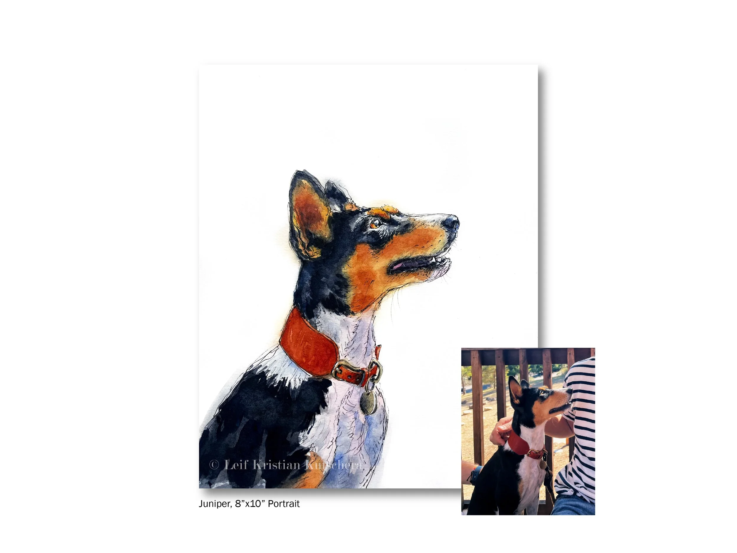 Leif Kristian Kutschera_Dog Portrait of Juniper 8x10.jpg