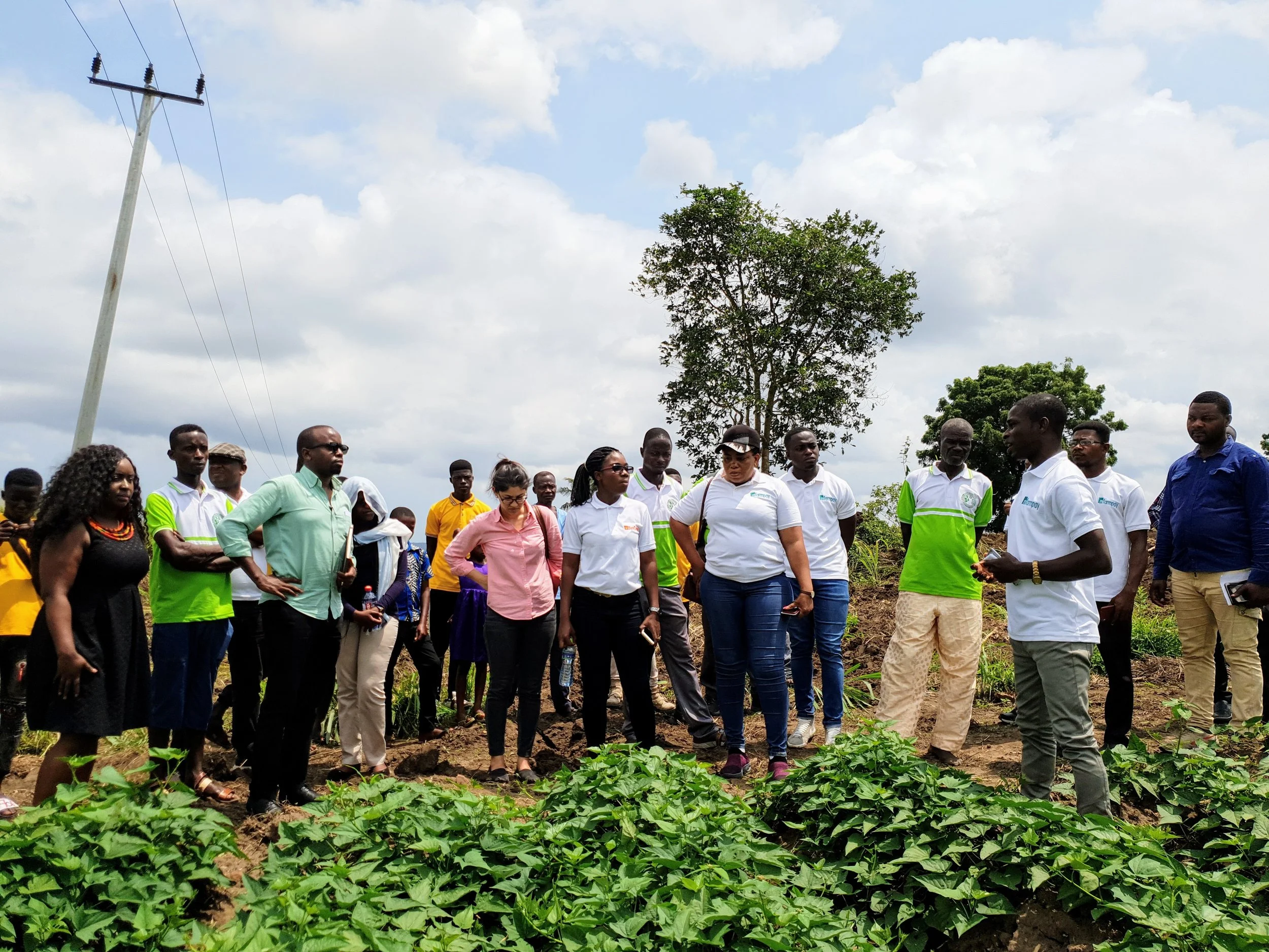 mfarmpay Inc. Team and Institutional Partners having a farm field interaction