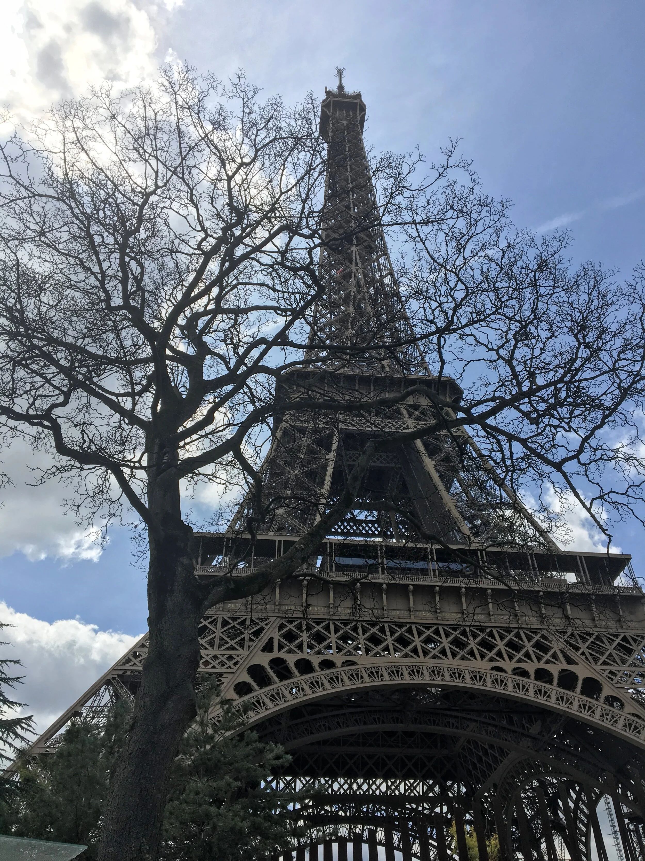 Reaching up into the skies – Paris, France