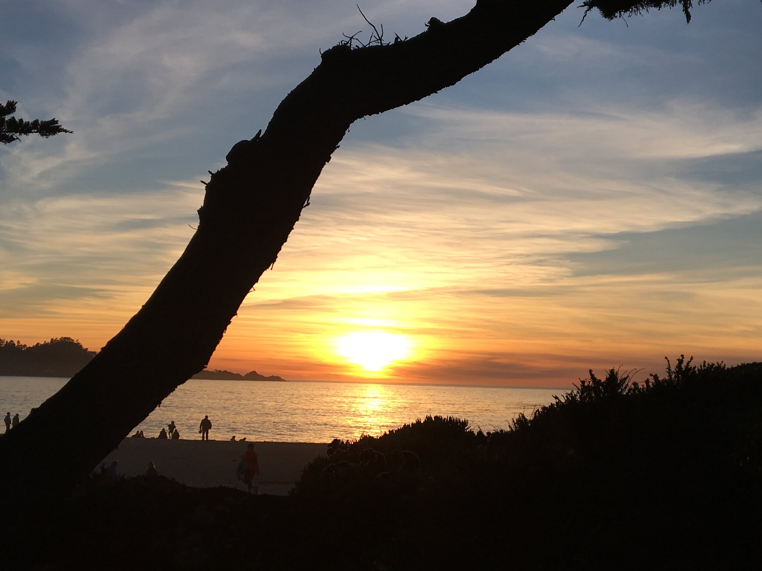 Shadows Against The Sunset – Carmel, CA