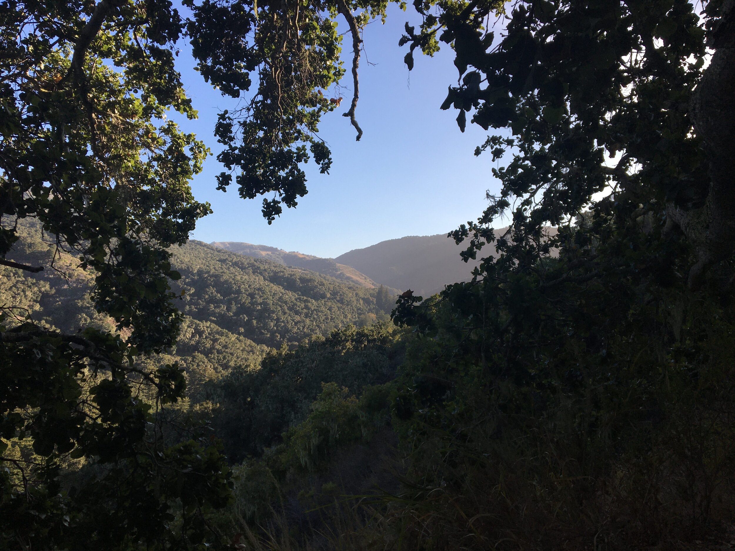 His Majesty – Carmel, CA