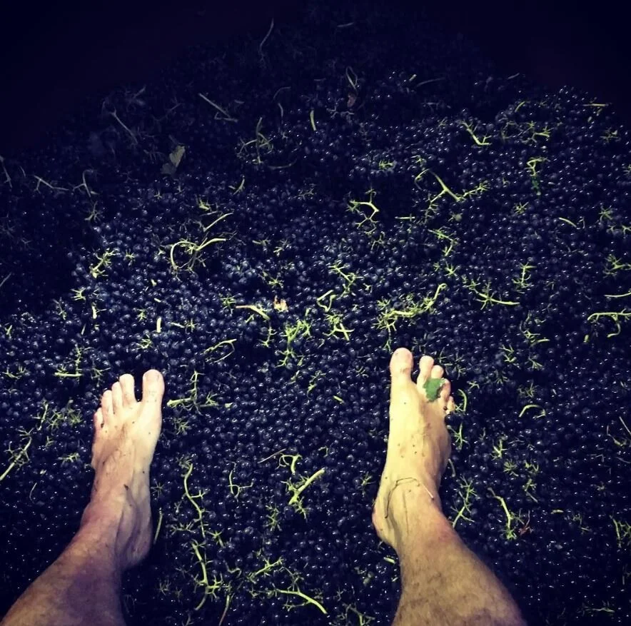 What is Caz Drinking? Precipice Yarra Valley Pinot Pair