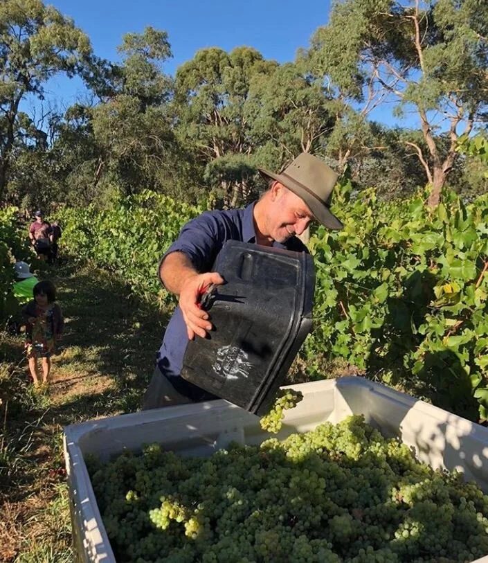 What is Caz Drinking? New Release Wilimee Macedon Ranges