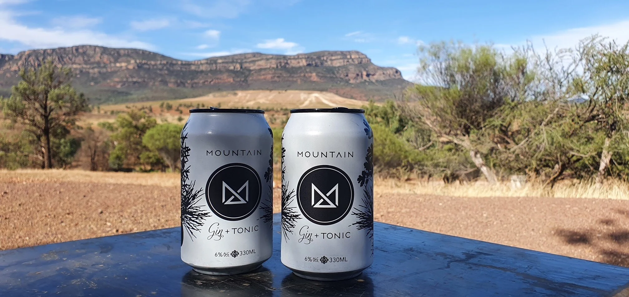 Road trip companion - MOUNTAIN Gin &amp; Tonic Cans