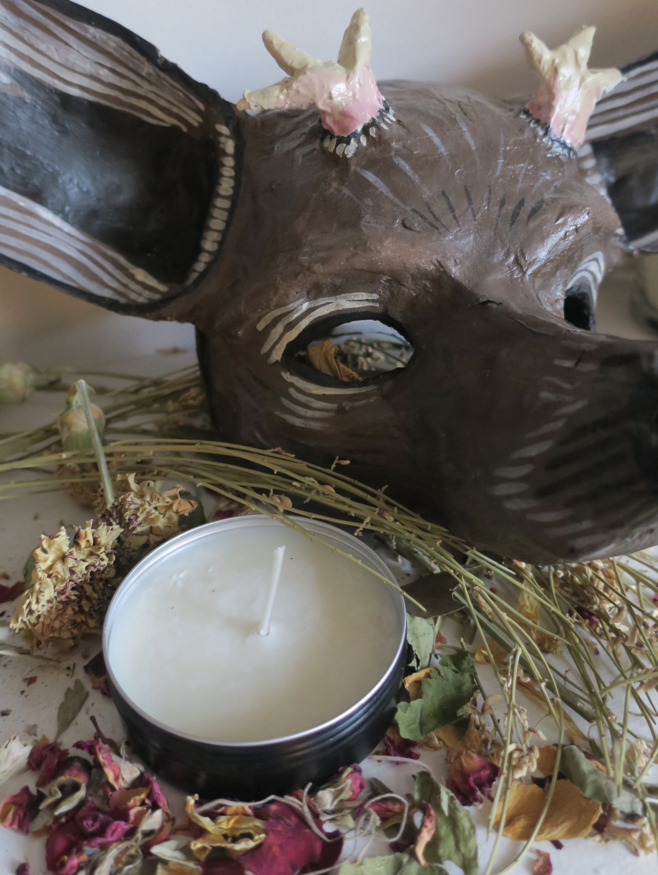 Shop The Lupercalia Collection!