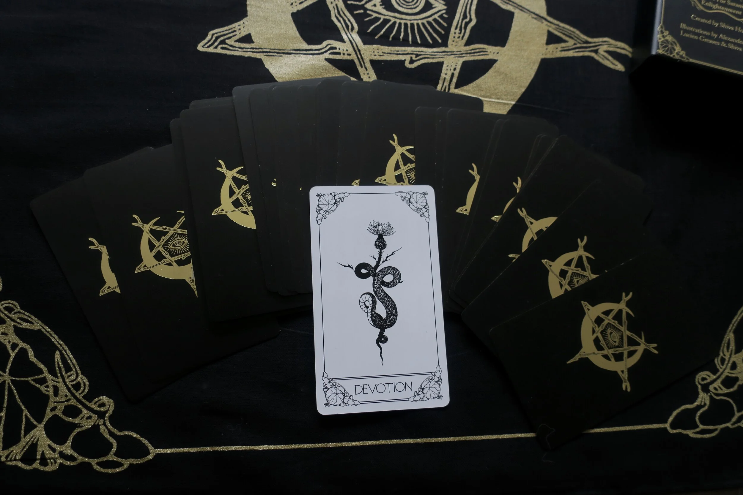 The Devil's Deck - A Ritual Deck for Satanic Enlightenment