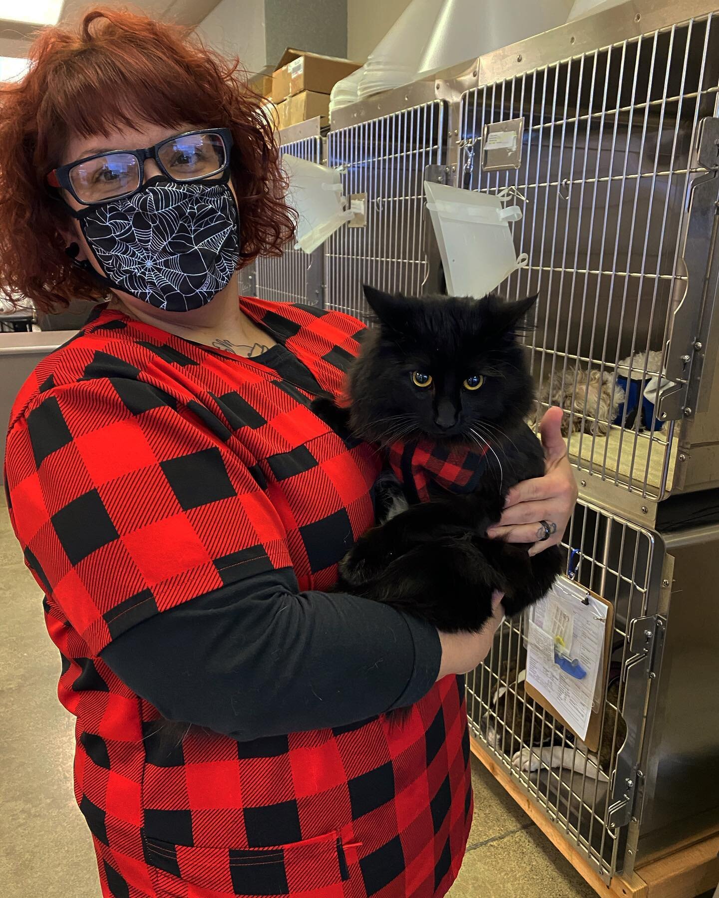 We don&rsquo;t always match with our animals, but when we do we channel the flannel! 👯&zwj;♀️🐾❤️ Happy Thursday from Shannon and Chloe! 
.
.

The Pet Advocate is a low cost spay neuter, dental and wellness center. Book your pet&rsquo;s Spay/Neuter 