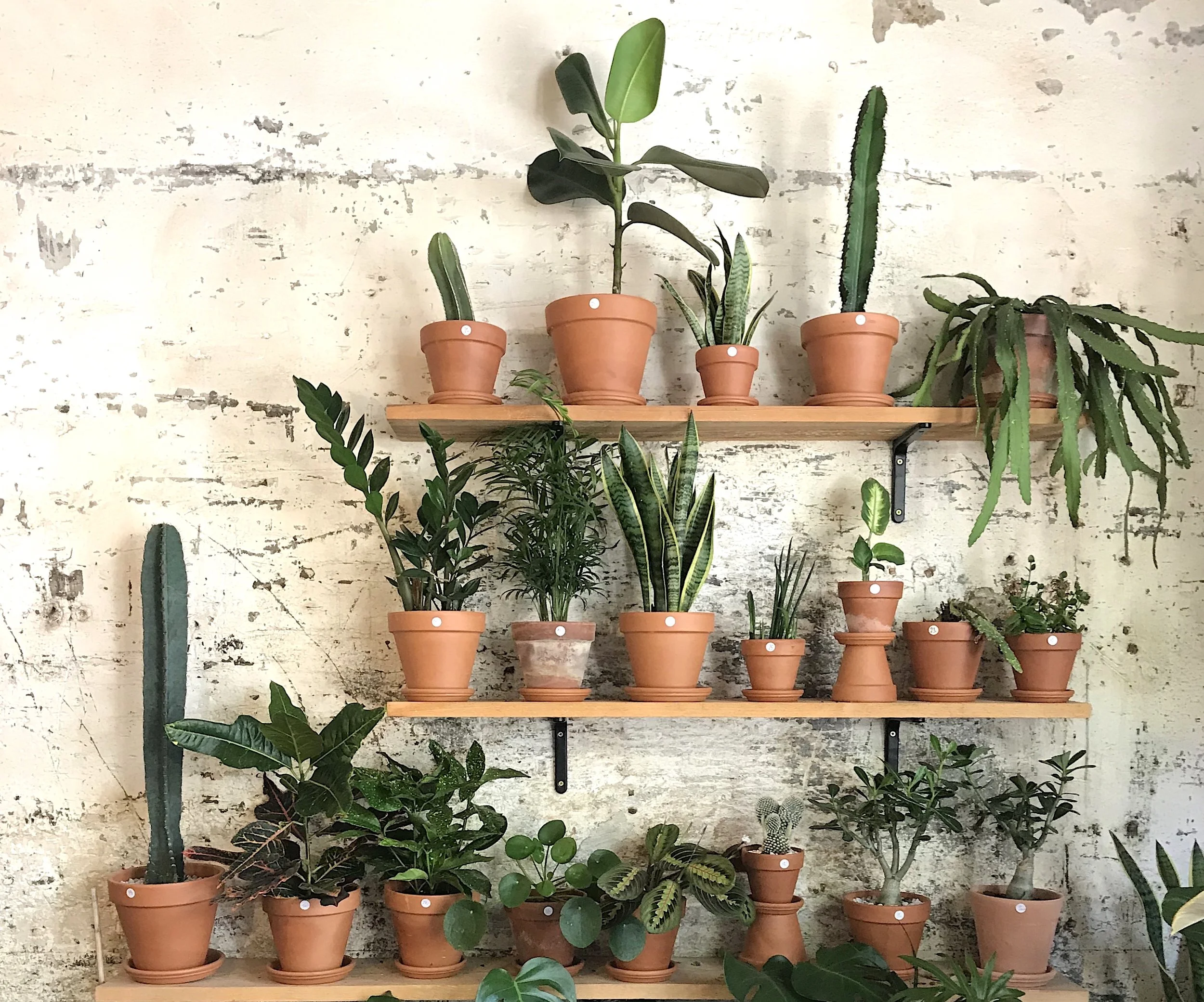 7 x hotspots in El Poblenou (Barcelona)