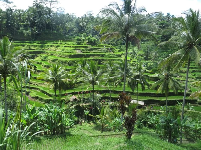 Backpacken door Java en Bali