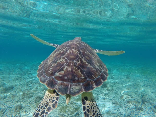 De eilanden van Indonesië
